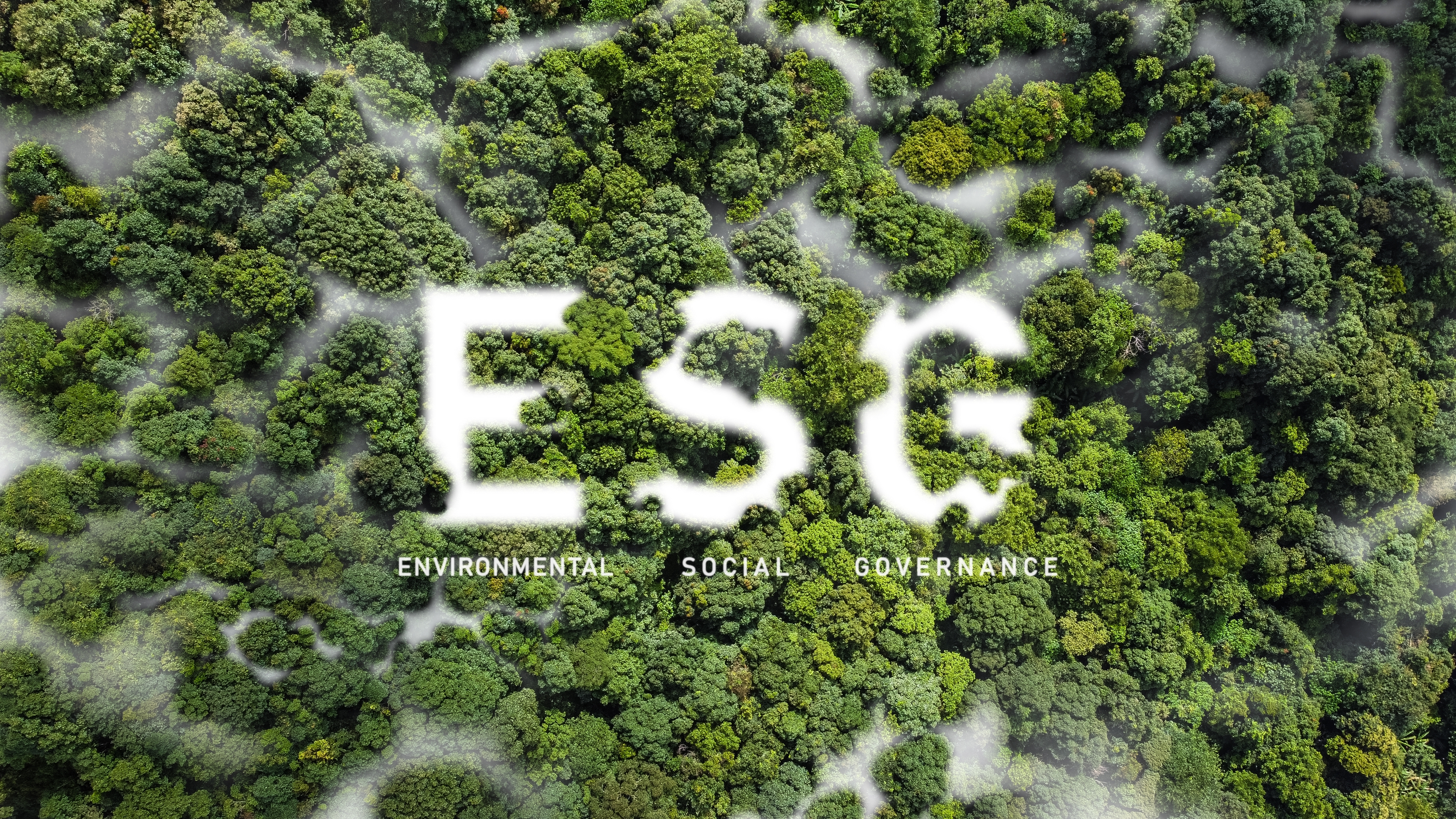 FH¼20ESG˫̼Ƽʵٵ»硰ܡ̼Чչ